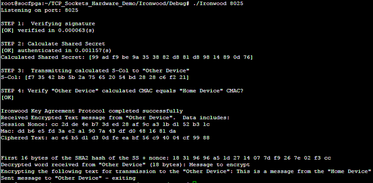 Screenshot of DE10-Nano terminal showing an authentication session