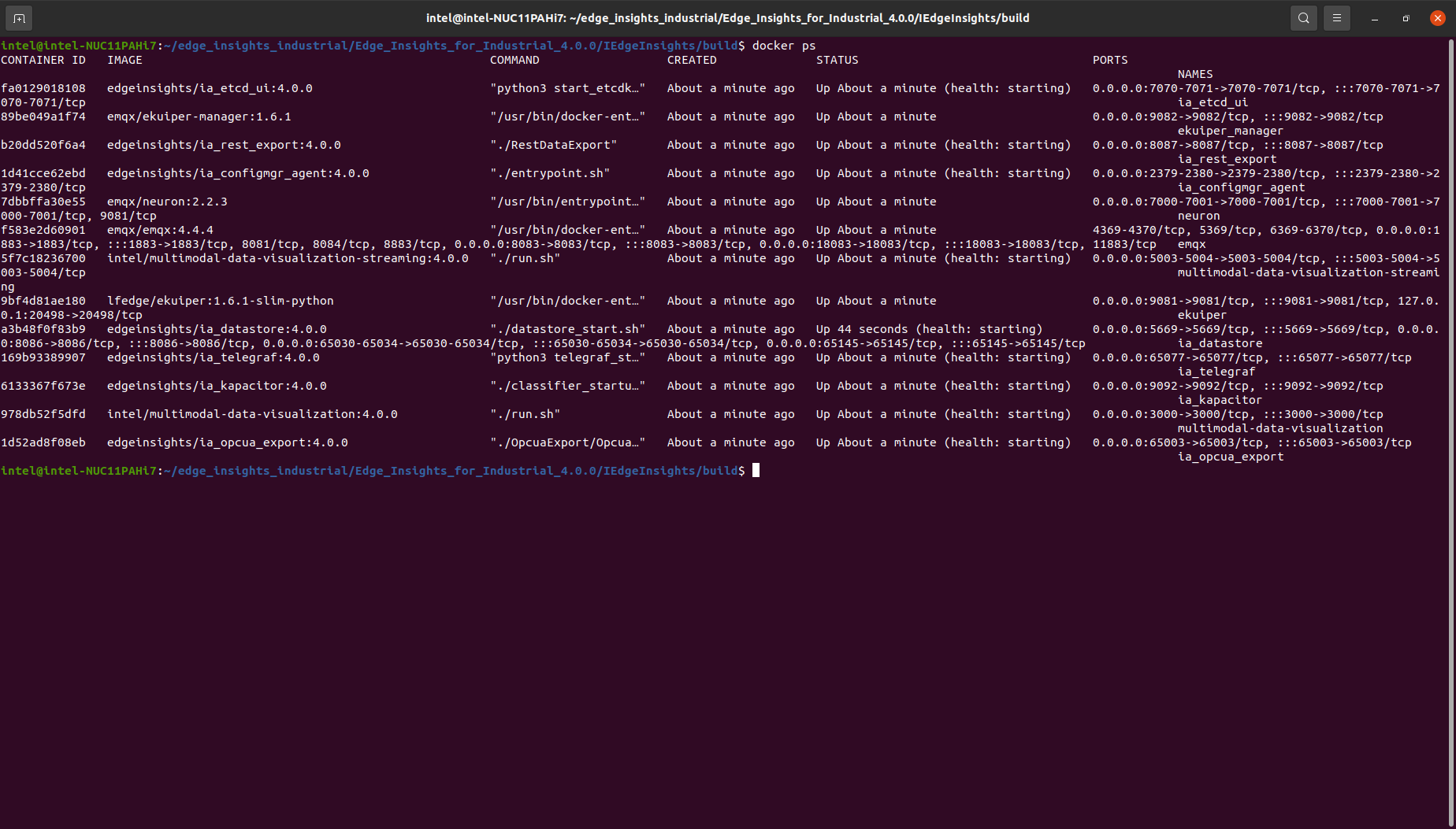A terminal showing docker ps command and then the services and their status. 