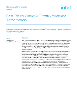 带虚拟机和分层内存的 Oracle OLTP