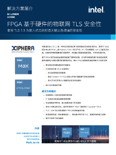 面向物联网、基于 FPGA 硬件的 TLS 安全功能