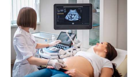利用 AI 提高女性怀孕几率